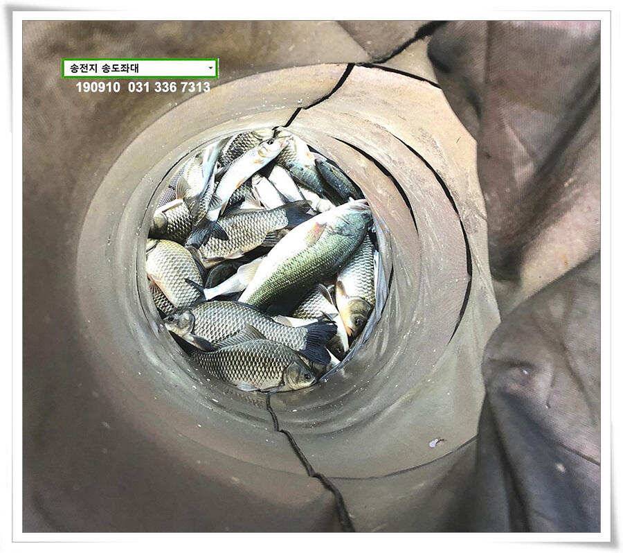 오랜만에 얼굴보기 (유료터정보 - 유료터점주조황)