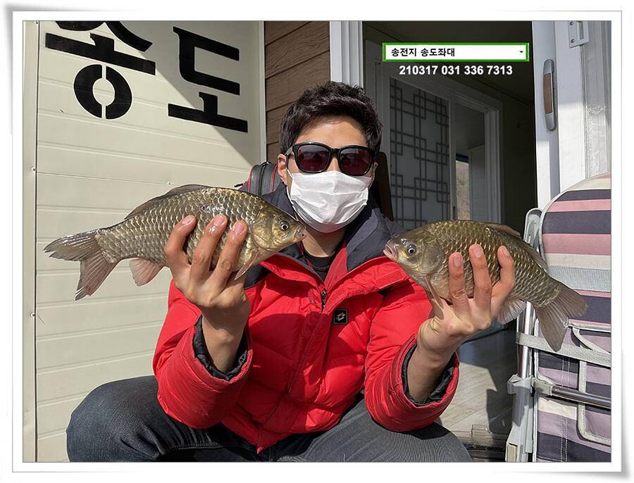 진짜가 나타났음송전지 송도좌대 조황 (유료터정보 - 유료터점주조황)