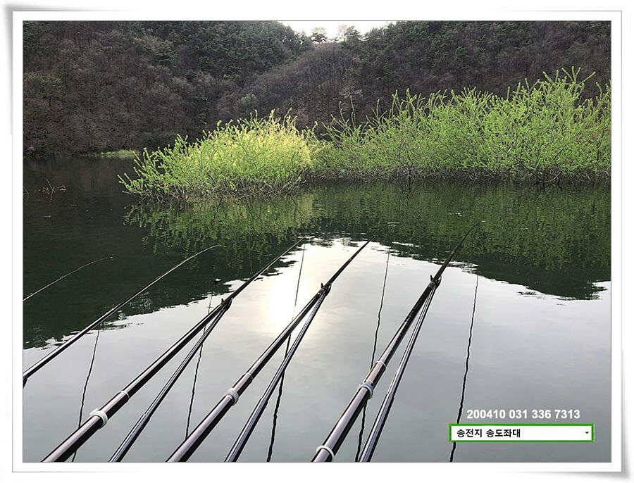2차 산란 송전지 송도좌대 조황 (유료터정보 - 유료터점주조황)
