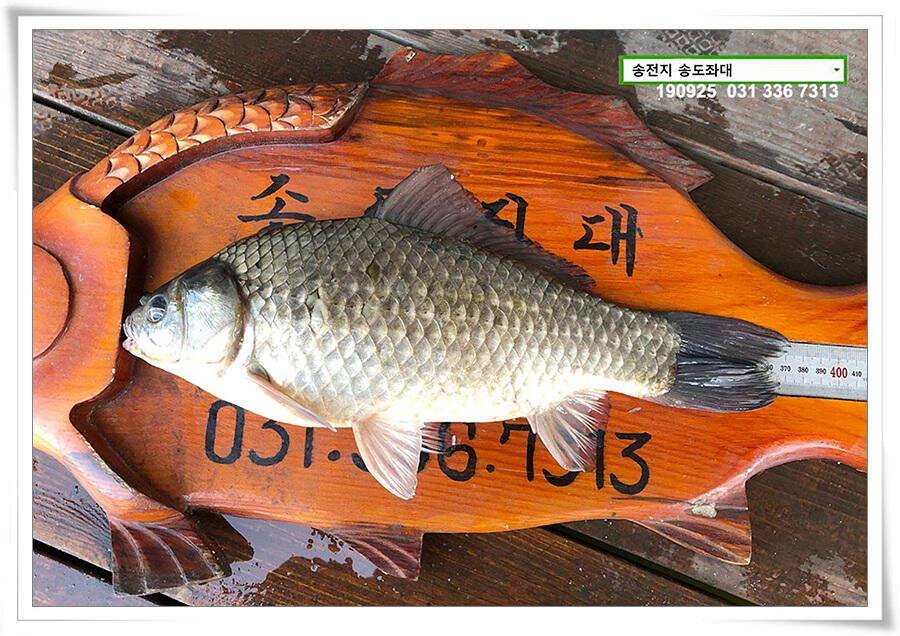 스멀스멀 (유료터정보 - 유료터점주조황)