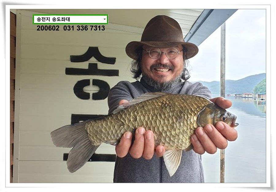 송전지 송도집 좌대 조황 송전낚시터 (유료터정보 - 유료터점주조황)
