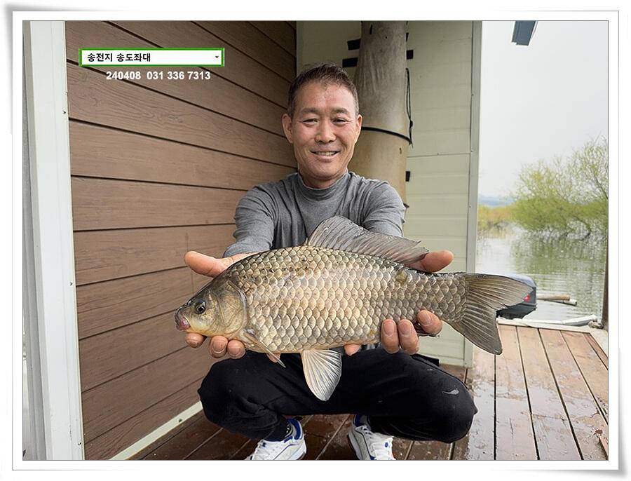 4짜 혹은 마릿수 (유료터정보 - 유료터점주조황)