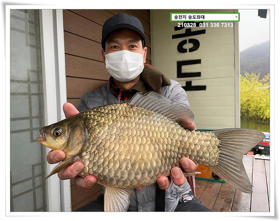 바람과 구름과 4짜 송전지 송도집 좌대 조황 (유료터정보 - 유료터점주조황)