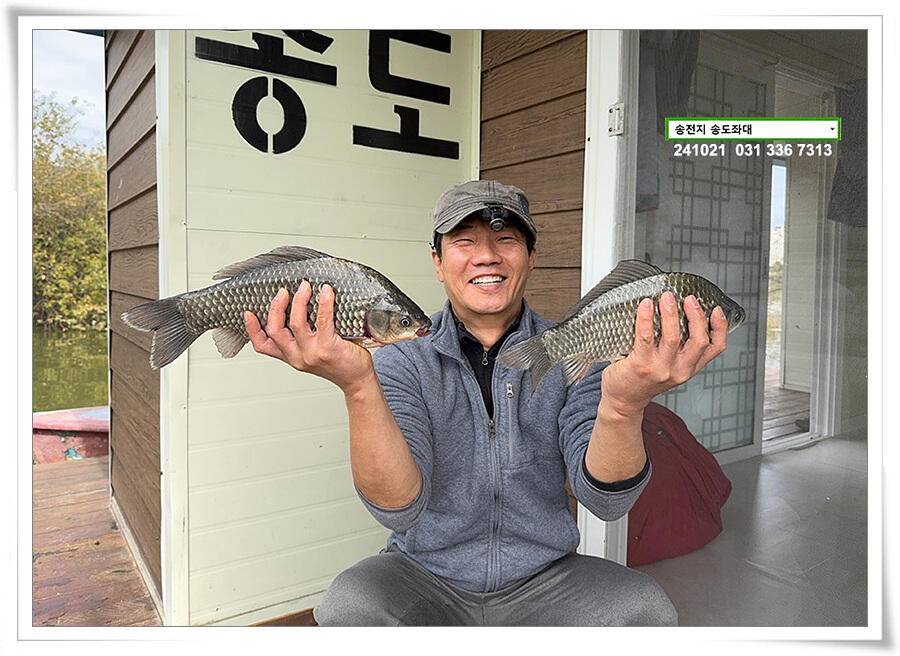 안정된 오름세 (유료터정보 - 유료터점주조황)