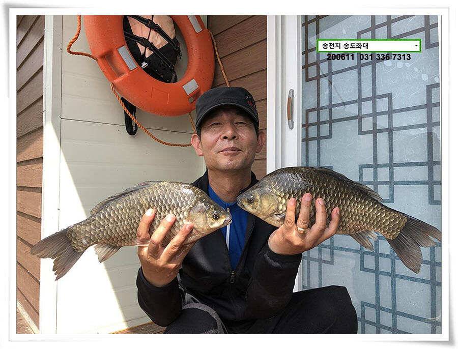 송전지 송도좌대 조황 (유료터정보 - 유료터점주조황)