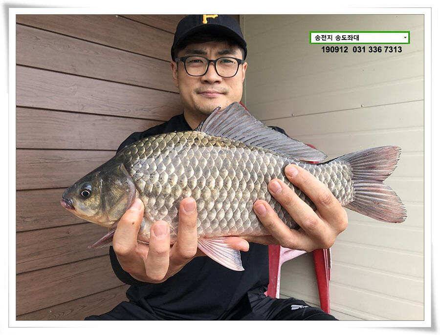 만월 닮아가기 (유료터정보 - 유료터점주조황)