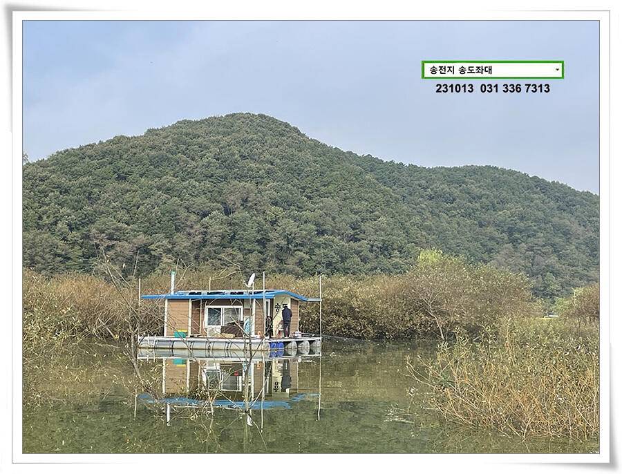 대물의 재림 (유료터정보 - 유료터점주조황)