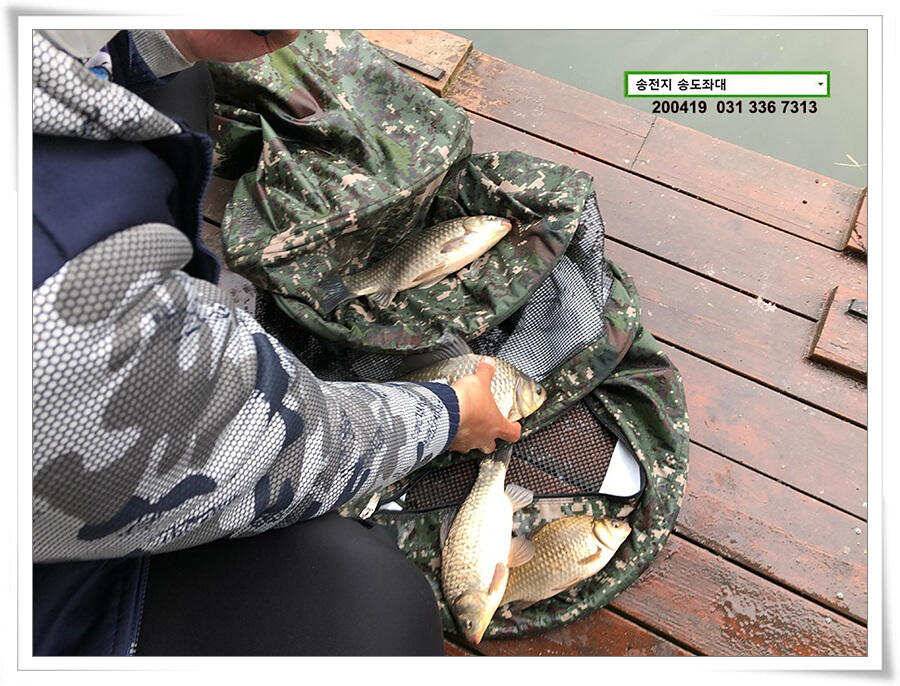 송전지 송전낚시터 송도좌대 조황 (유료터정보 - 유료터점주조황)