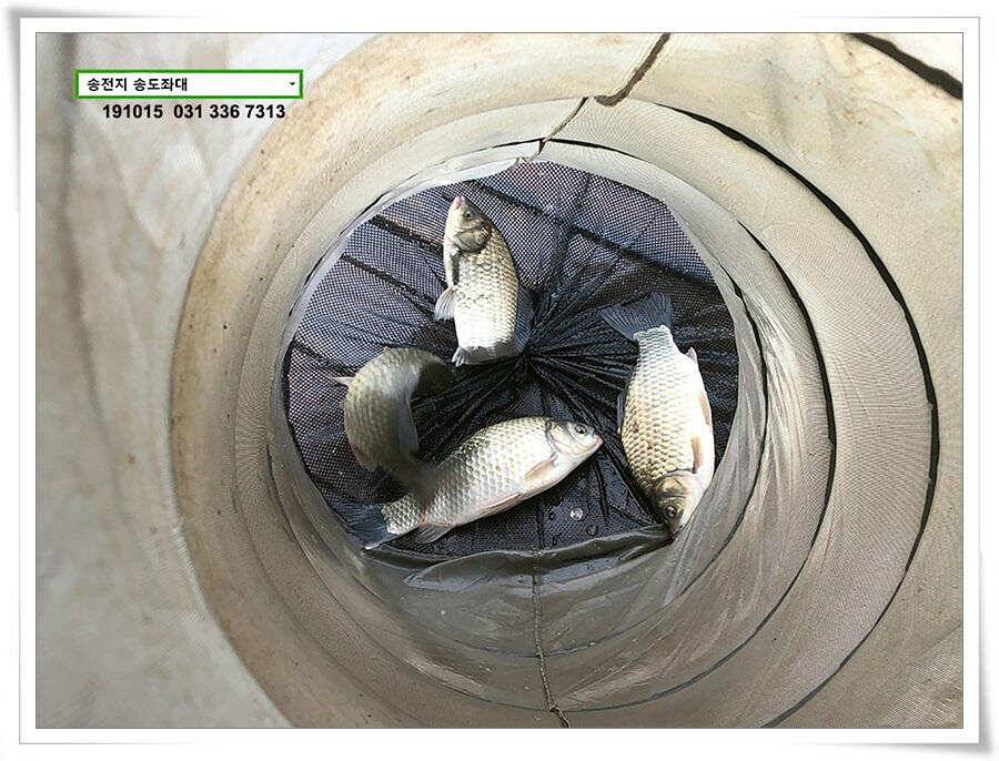덩어리 낚아내기 (유료터정보 - 유료터점주조황)