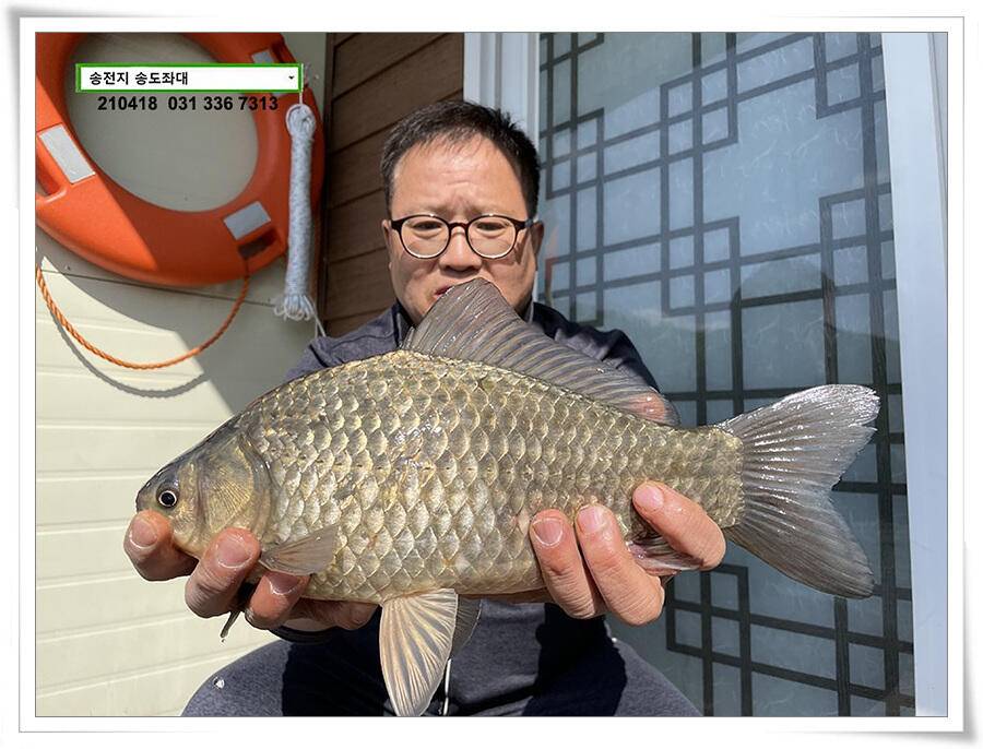 송전지 송전낚시터 송도좌대 조황 (유료터정보 - 유료터점주조황)