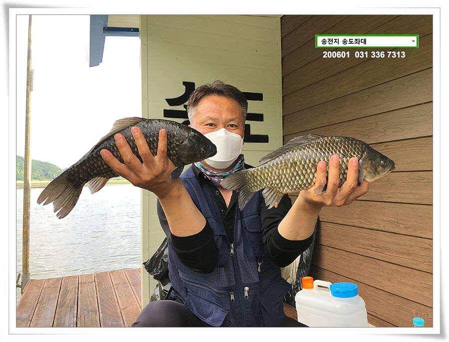 송전지 송전낚시터 송도좌대 조황 (유료터정보 - 유료터점주조황)