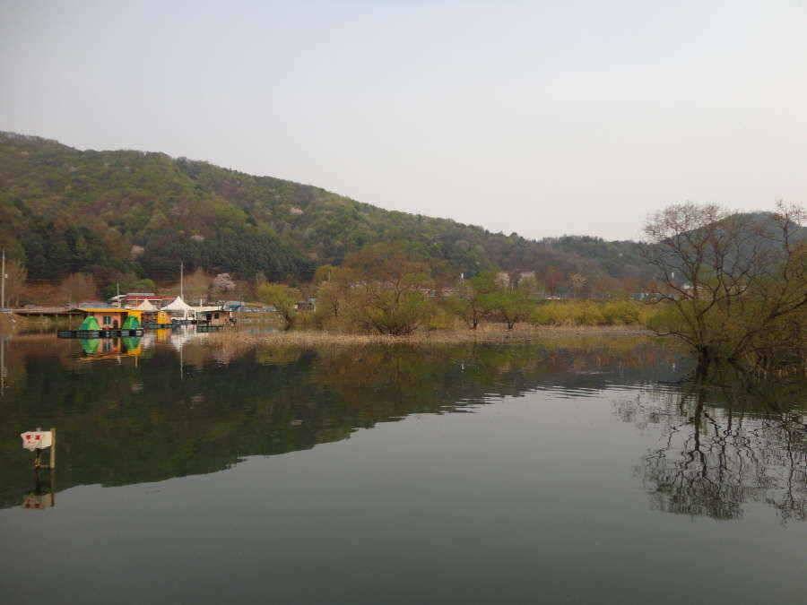 붕어는 산란중 (유료터정보 - 유료터점주조황)