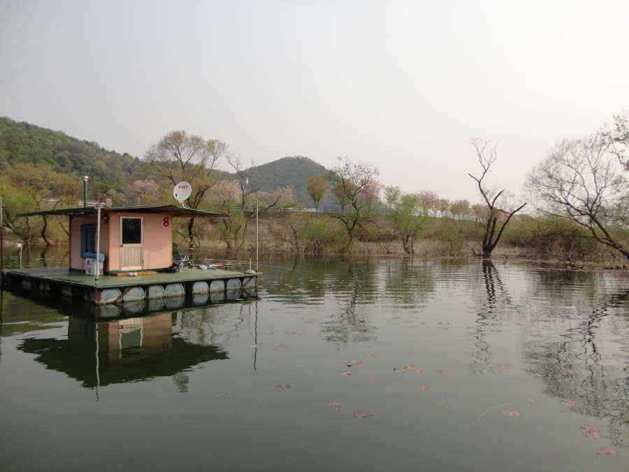 어제 밤 낚시 찌올림은 딱두메디 (유료터정보 - 유료터점주조황)