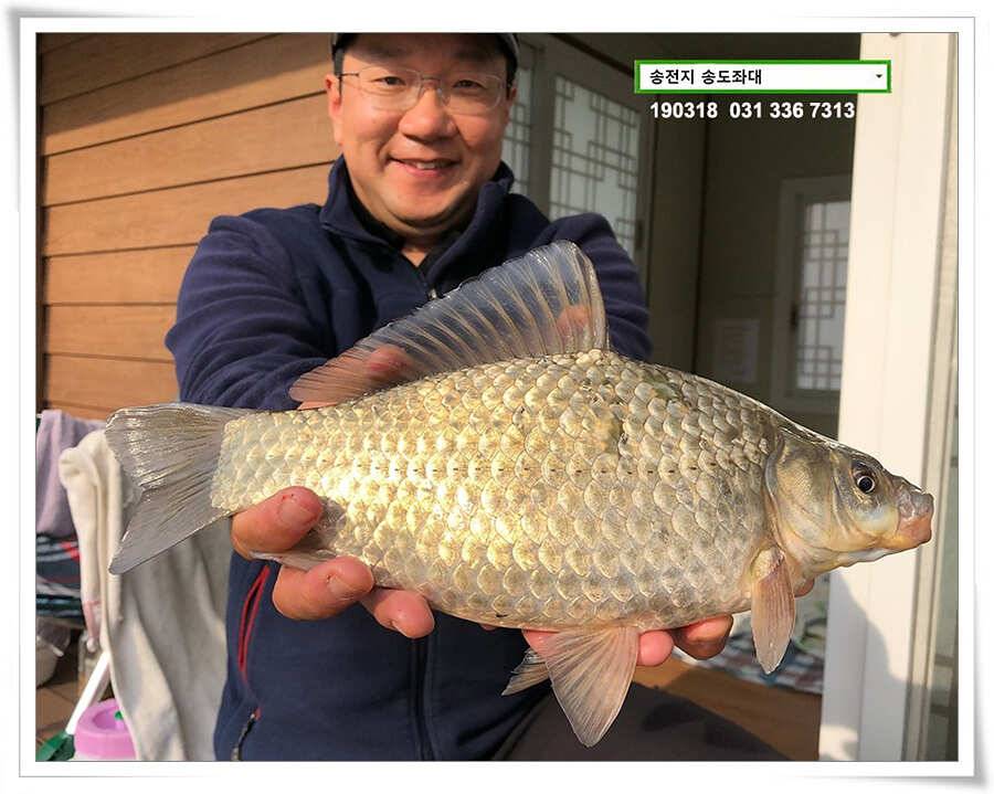송전지 송도좌대 조황 (유료터정보 - 유료터점주조황)