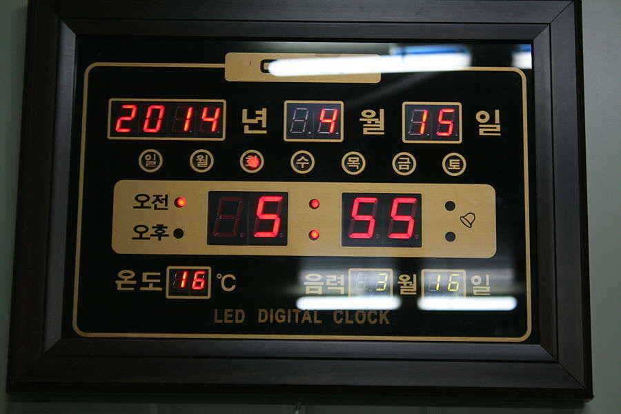 강원도 의암호 거북이 낚시터 조황 (유료터정보 - 유료터점주조황)
