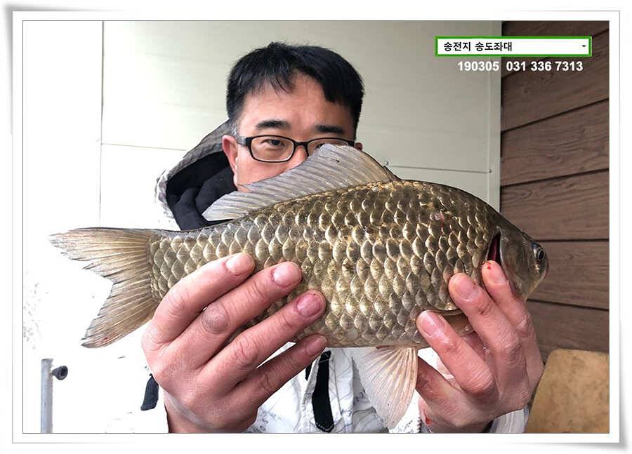 아침에 킁거 (유료터정보 - 유료터점주조황)