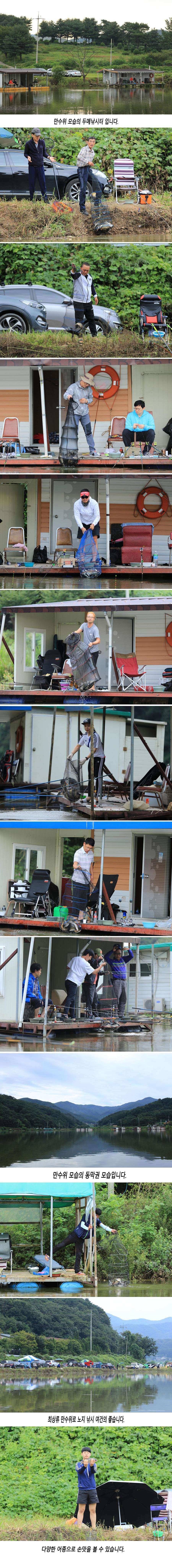 안성 두메낚시터 8월27일 조황안내 (유료터정보 - 유료터점주조황)