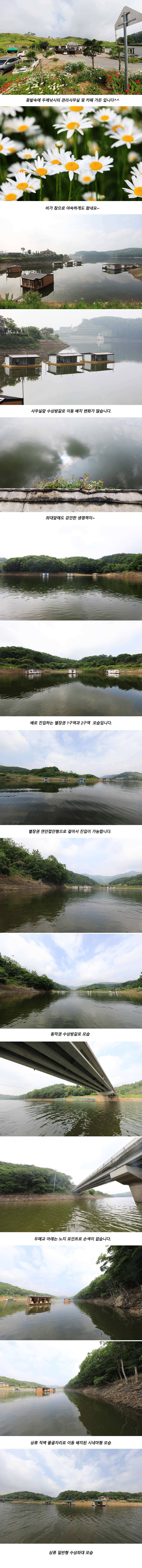안성 두메낚시터 5월24일 조황안내 (유료터정보 - 유료터점주조황)