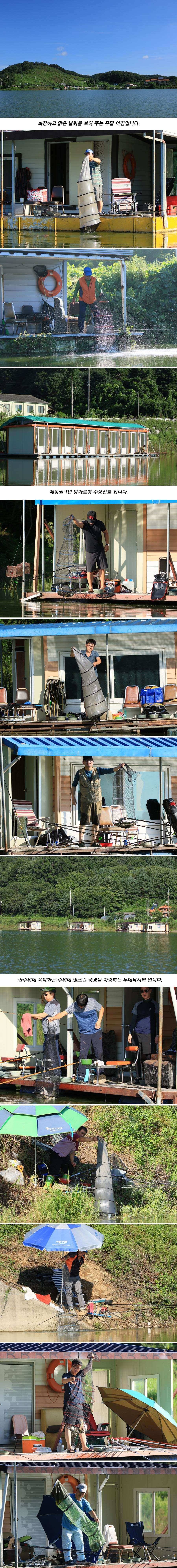 안성 두메낚시터 8월12일 조황안내 (유료터정보 - 유료터점주조황)