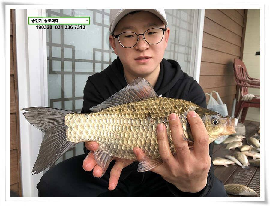 송전낚시터 송도좌대 조황 (유료터정보 - 유료터점주조황)