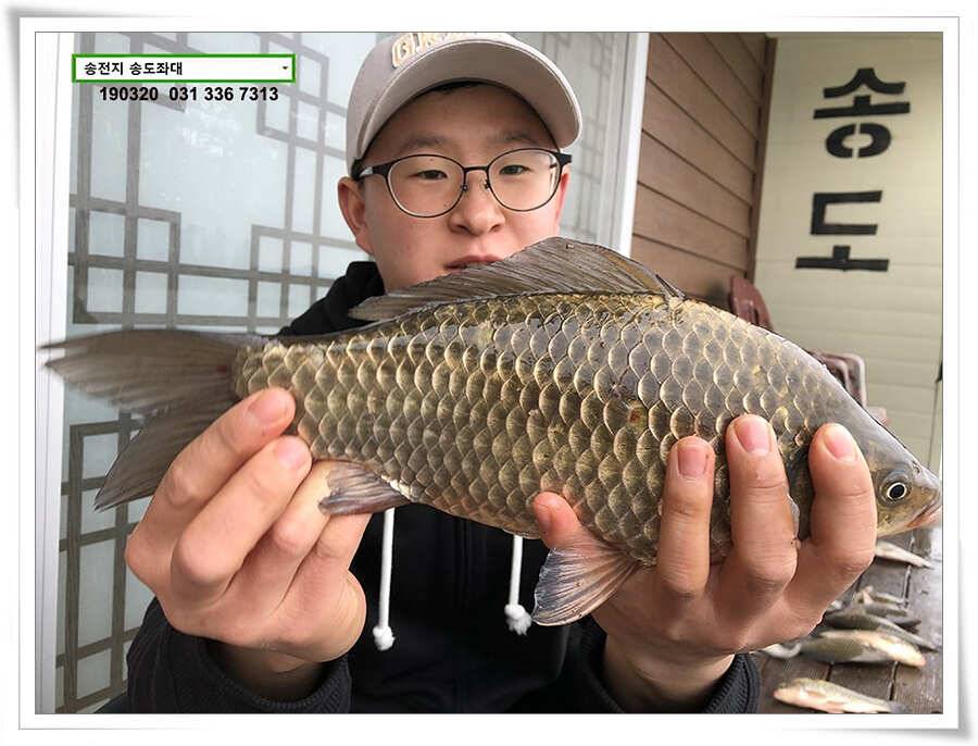 송전낚시터 송도좌대 조황 (유료터정보 - 유료터점주조황)