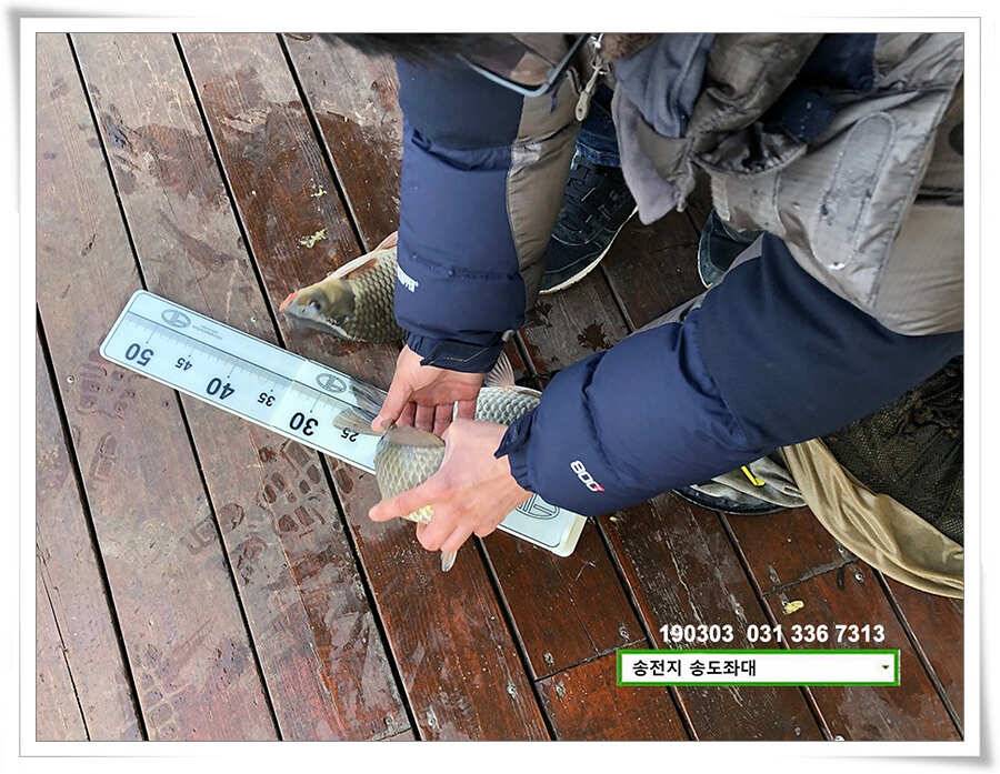 연휴 끝 출근 시작 (유료터정보 - 유료터점주조황)