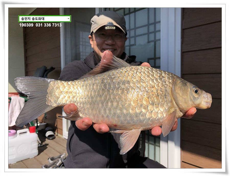 잦아진 허리급 (유료터정보 - 유료터점주조황)