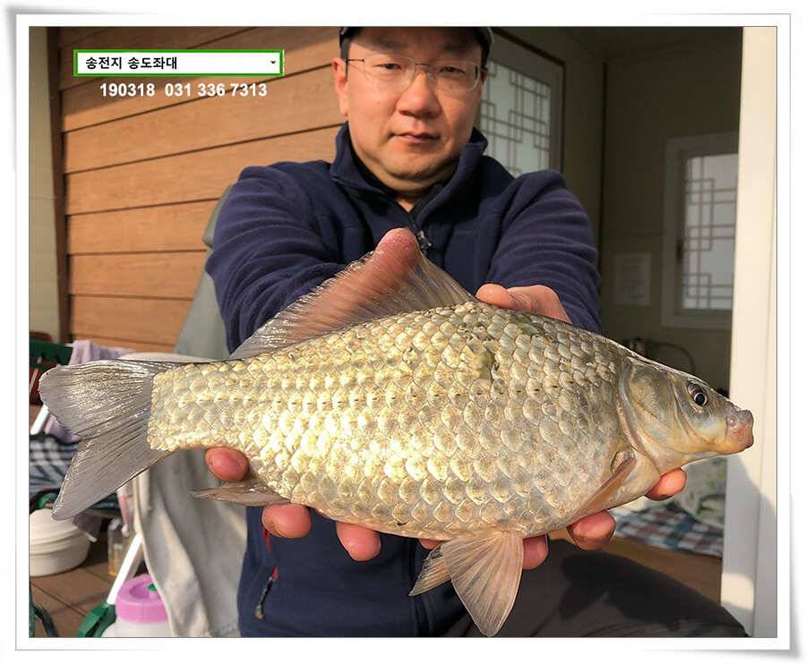 송전지 송도좌대 조황 (유료터정보 - 유료터점주조황)