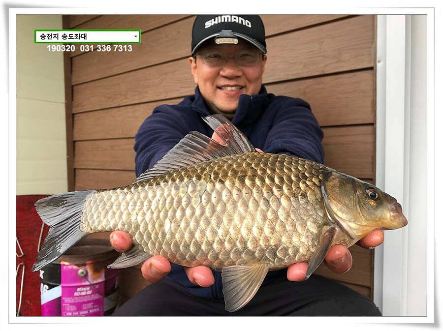 송전낚시터 송도좌대 조황 (유료터정보 - 유료터점주조황)