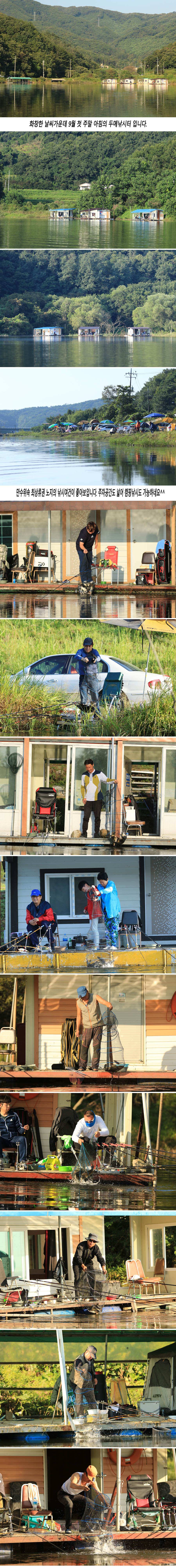 안성 두메낚시터 9월3일 조황안내 (유료터정보 - 유료터점주조황)