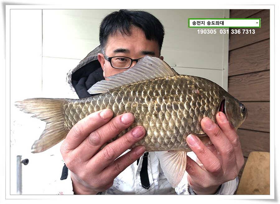 아침에 킁거 (유료터정보 - 유료터점주조황)
