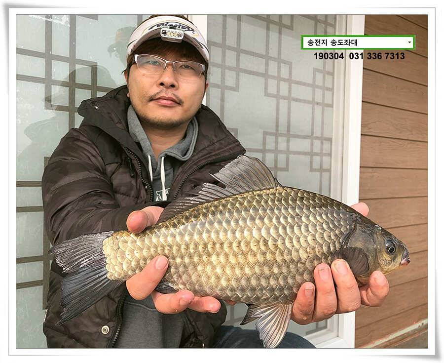 밤이낮져 송전지 송도좌대 조황 (유료터정보 - 유료터점주조황)