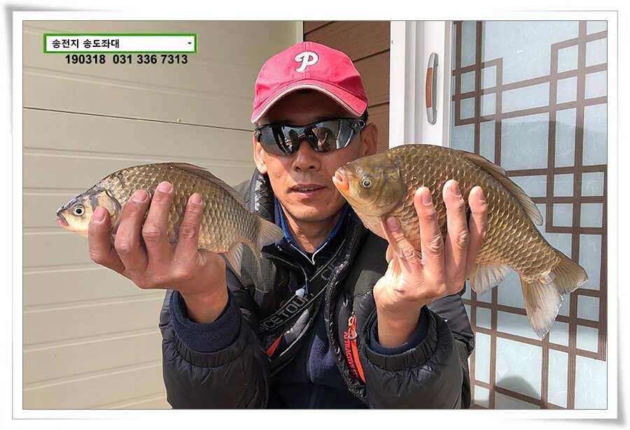 송전지 송도좌대 조황 (유료터정보 - 유료터점주조황)