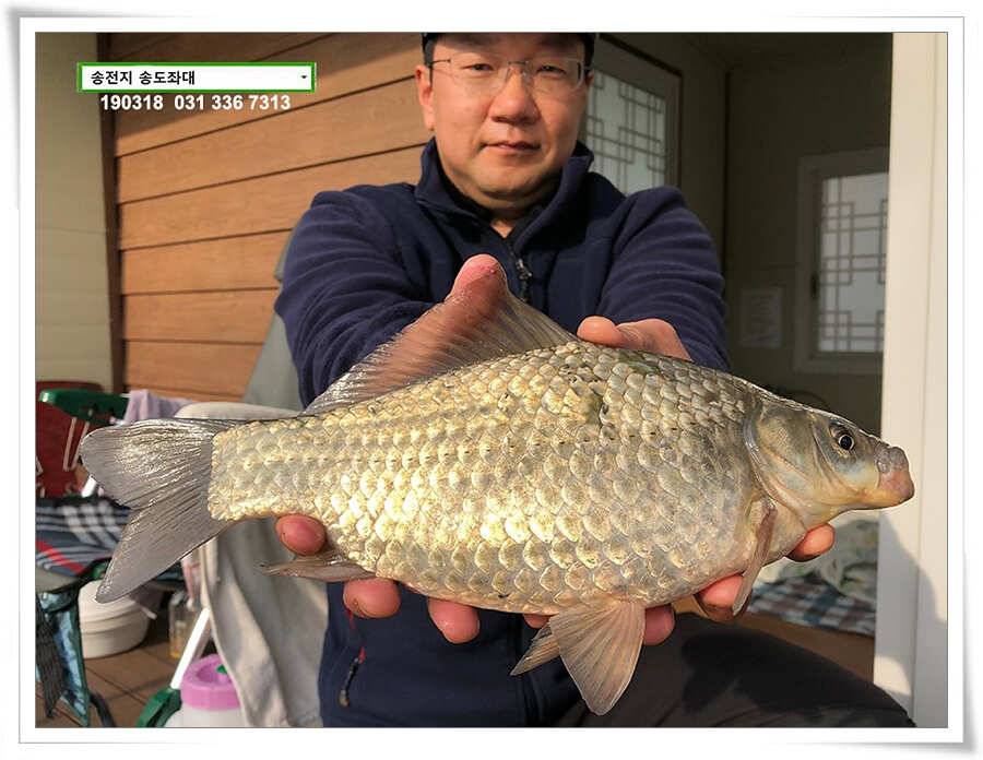 송전지 송도좌대 조황 (유료터정보 - 유료터점주조황)