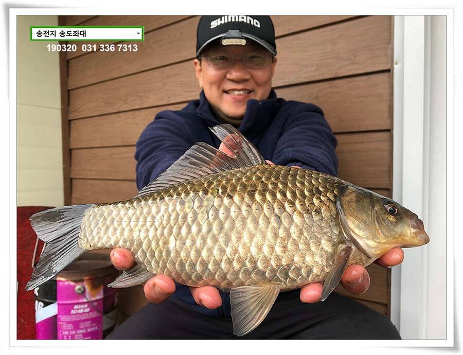 송전낚시터 송도좌대 조황 (유료터정보 - 유료터점주조황)