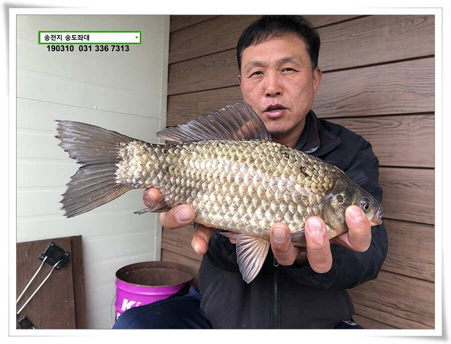 스믈스믈 낮 조과 (유료터정보 - 유료터점주조황)