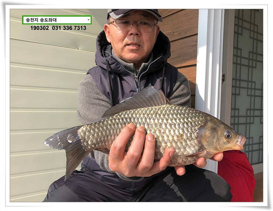 초반러쉬 감행하는 송전지 송도좌대 조황 (유료터정보 - 유료터점주조황)