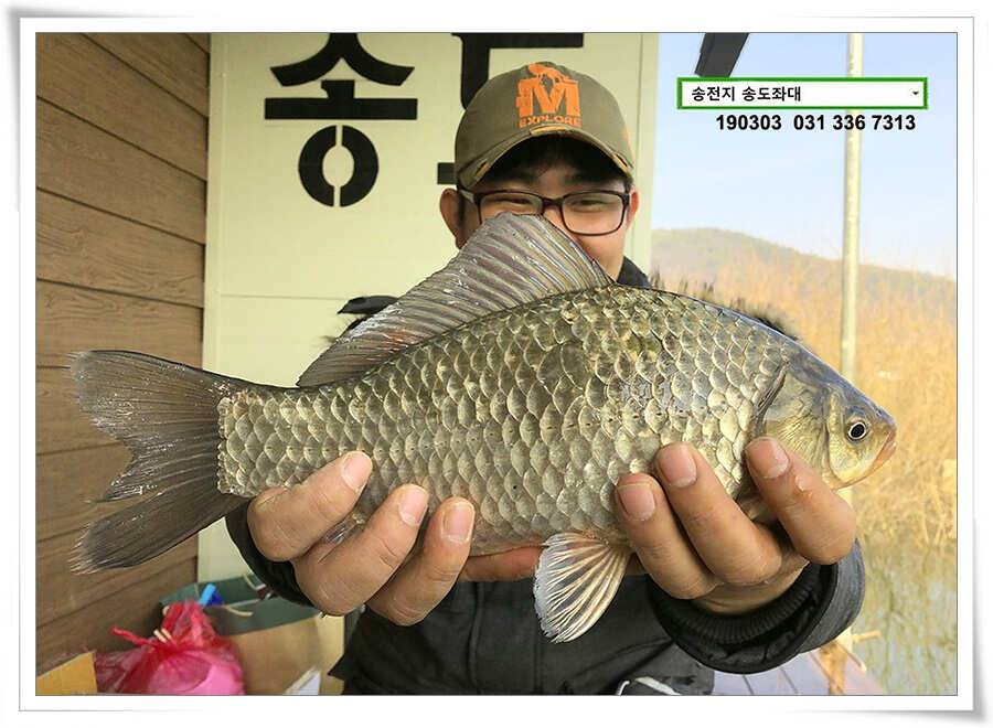 연휴 끝 출근 시작 (유료터정보 - 유료터점주조황)