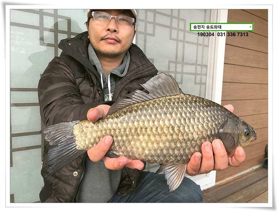 밤이낮져 송전지 송도좌대 조황 (유료터정보 - 유료터점주조황)