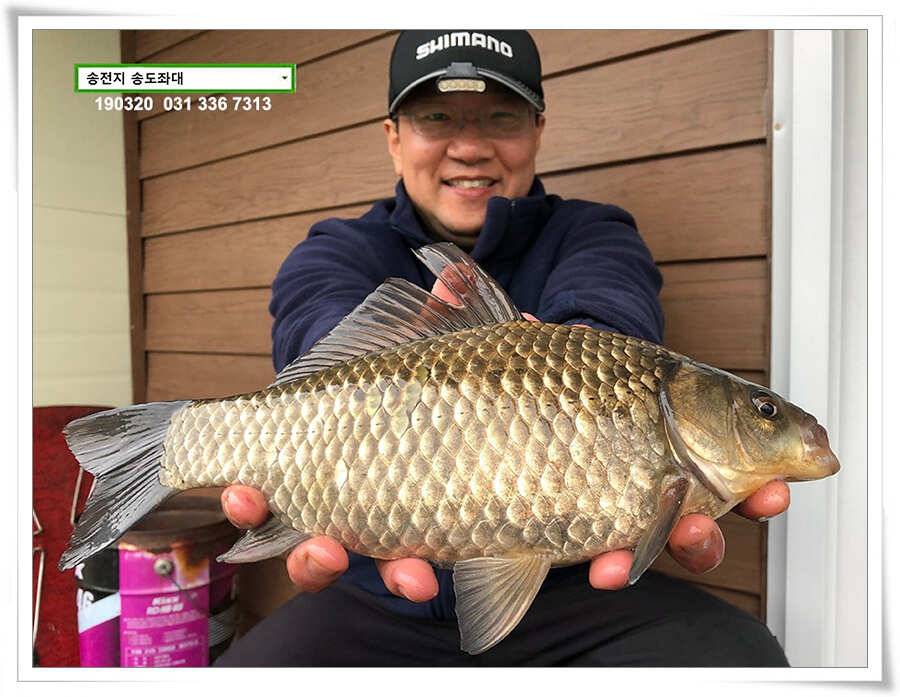 송전낚시터 송도좌대 조황 (유료터정보 - 유료터점주조황)