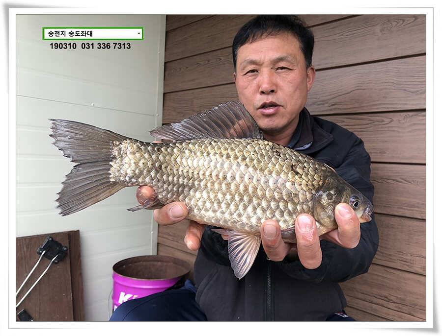 스믈스믈 낮 조과 (유료터정보 - 유료터점주조황)