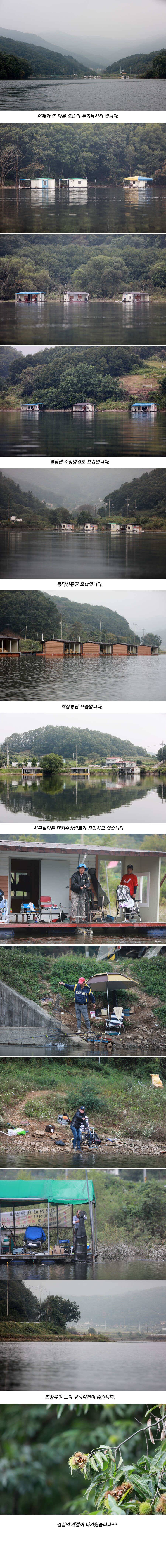 안성 두메낚시터 9월19일 조황안내 (유료터정보 - 유료터점주조황)