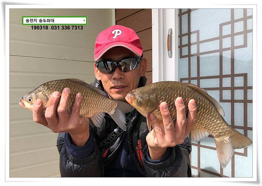 송전지 송도좌대 조황 (유료터정보 - 유료터점주조황)