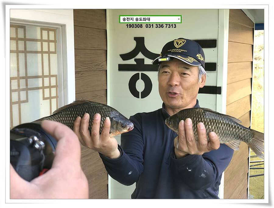 도래 (유료터정보 - 유료터점주조황)