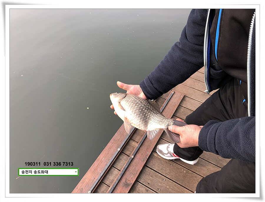 스믈스믈 낮 조과 (유료터정보 - 유료터점주조황)