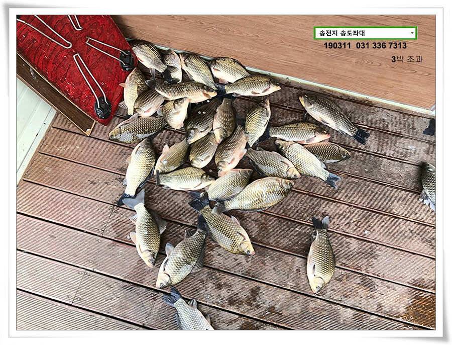 스믈스믈 낮 조과 (유료터정보 - 유료터점주조황)