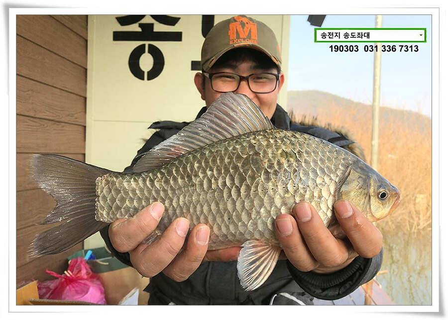연휴 끝 출근 시작 (유료터정보 - 유료터점주조황)
