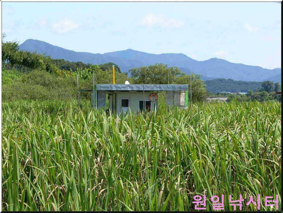 가을문턱에서의 원일조황입니다 (유료터정보 - 유료터점주조황)