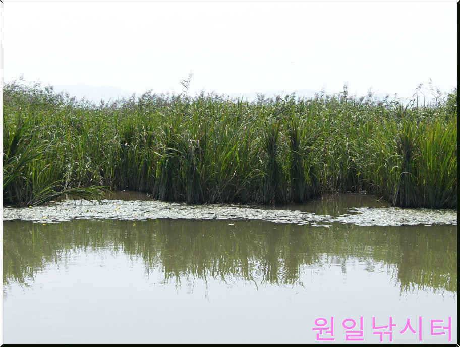 가을문턱에서의 원일조황입니다 (유료터정보 - 유료터점주조황)