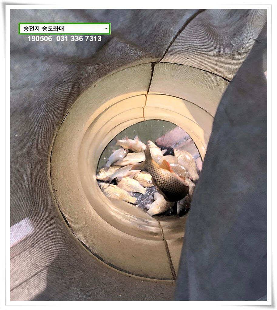 송전지 송도좌대 조황 (유료터정보 - 유료터점주조황)